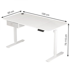 Electric Standing Desk, Sit Stand Table, Height Adjustable Electric Standing Computer Desk with USB Charging Port and Desk Drawer for Home Office