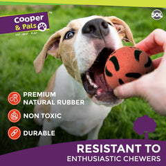 4 Pack Rubber Dog Balls | Bouncy Pet Play Balls for Dogs & Puppies | Durable Solid Rubber Fetch Toys | Brightly Coloured Dog Toy Balls for Fun Indoor & Outdoor Play