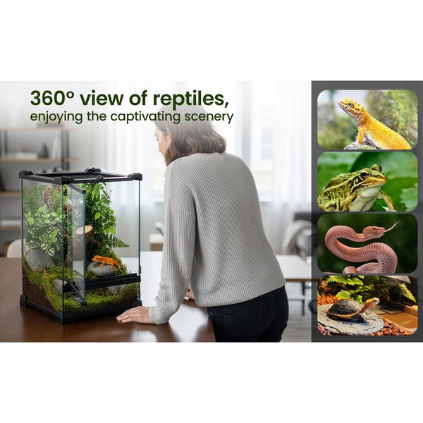 Glass Reptile Terrarium Insect Breeding Tank Vivarium Habitats for Lizards, Horned Frogs, Snakes, Spiders Reptile Glass Terrarium Tank Amphibians Box (Horizontal)