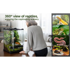 Glass Reptile Terrarium Insect Breeding Tank Vivarium Habitats for Lizards, Horned Frogs, Snakes, Spiders Reptile Glass Terrarium Tank Amphibians Box (Horizontal)