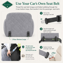 Paws Sauvy Dog Car Booster Seat with Safety Strap, Cozy Travel Bed for Small And Medium Dogs, Stable, Easy to Clean, 8 Colors Available