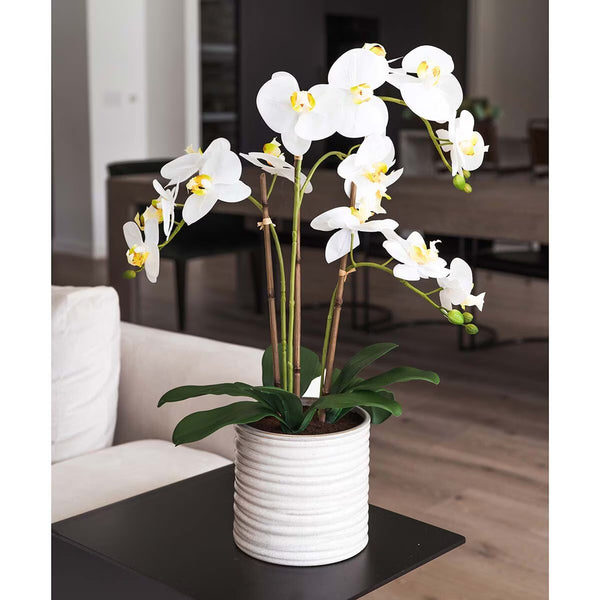 Artificial Orchid in Ribbed Ceramic Pot, Pink