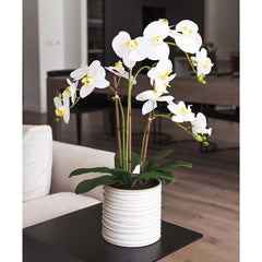 Artificial Orchid in Ribbed Ceramic Pot, Pink