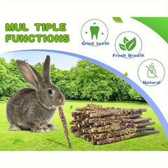 Rabbit Apple Wooden Sticks, Natural Rabbit Chew Toys, Small Animal Wooden Teething, Small Pet Cage Flower Decoration, Hamster, Chinchilla Squirrel Rabbit Guinea Pig Small Pet Apple Chew Stick