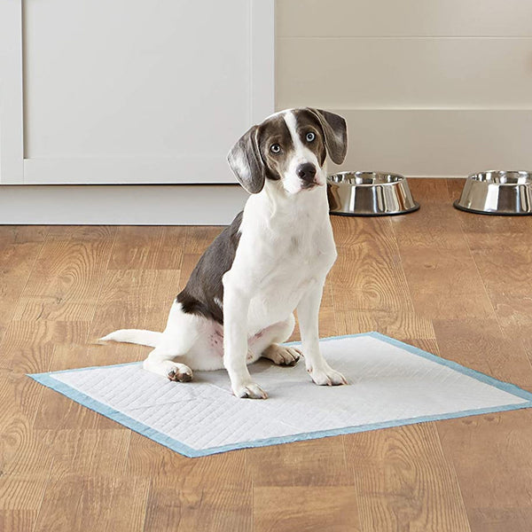 Puppy Pads Pack of 40 Pee Pads for Dogs Potty Training with Leak-Proof Quick-Dry Design Multi-Layer Puppy Training Pads Pack of 20 XL-size 90x60cm