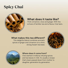 Twinings Spicy Chai Tea Warming & Aromatic Black Tea Spices of Cinnamon, Clove & Ginger with Assam Tea Base, 40 Biodegradable Tea Bags