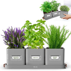 Herb Pots for Kitchen Windowsill - Set of Herb Planter Indoor with Leather Handled Tray - Ideal for an Indoor Herb Garden, Plants and Flowers - Labels Included