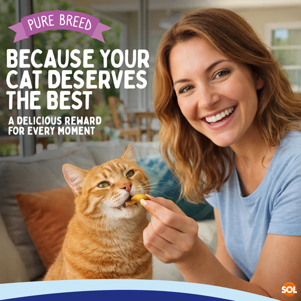 Pure Breed Mischief Cat Treats 6 Pack | Salmon Flavour Pillow Snacks for Cats | Crunchy Outside & Creamy Inside | Low Calorie Dual Texture Cat Bites (Only 2 kcal Each) | Natural Resealable Cat Treat Pouches