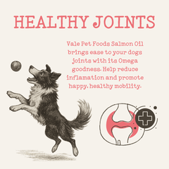 Scottish Salmon Oil for Dogs & Cats UK - Omega 3 6 9 Supplement Dog Food Topper for Joints Skin, Coat, Heart Health & Natural Coat - Natural Fish Oil for Dogs, Puppy, 500ml - Vale Pet Foods