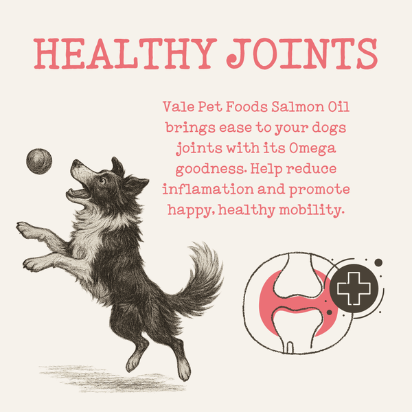 Scottish Salmon Oil for Dogs & Cats UK - Omega 3 6 9 Supplement Dog Food Topper for Joints Skin, Coat, Heart Health & Natural Coat - Natural Fish Oil for Dogs, Puppy, 500ml - Vale Pet Foods