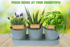 Trendi – Set of 3 Metal Plant Pots with Drip Tray | Embossed Indoor & Outdoor Plant Pots for Garden, Windowsill, Kitchen & Desk | Decorative Metal Flower Pots for Herbs & Plants | Light Grey
