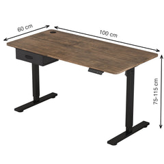 Electric Standing Desk, Sit Stand Table, Height Adjustable Electric Standing Computer Desk with USB Charging Port and Desk Drawer for Home Office