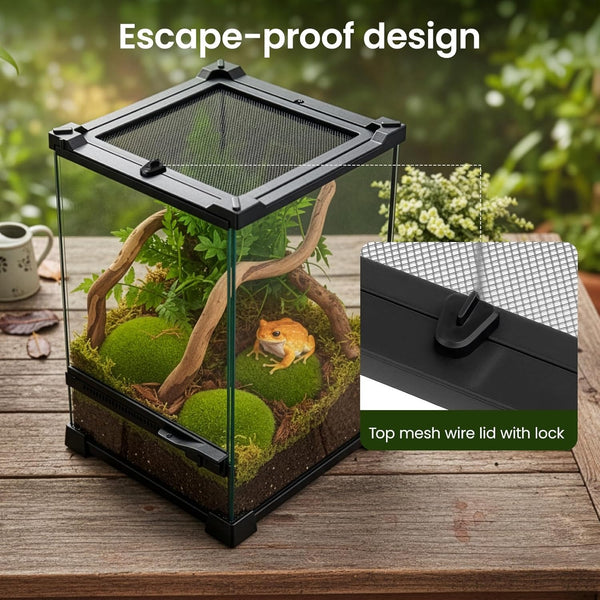 Glass Reptile Terrarium Insect Breeding Tank Vivarium Habitats for Lizards, Horned Frogs, Snakes, Spiders Reptile Glass Terrarium Tank Amphibians Box (Horizontal)