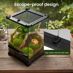 Glass Reptile Terrarium Insect Breeding Tank Vivarium Habitats for Lizards, Horned Frogs, Snakes, Spiders Reptile Glass Terrarium Tank Amphibians Box (Horizontal)
