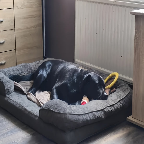 Orthopedic Extra for Large Dog Bed (XXL) - Thick Cushioned Dog Sofa Bed with Non-Slip Base, Heavy-Duty Pet Mattress for Large Dogs, Easy Assembly, Ideal for Indoor/Outdoor Use - Compatible with Small, Medium, And for Large Breeds