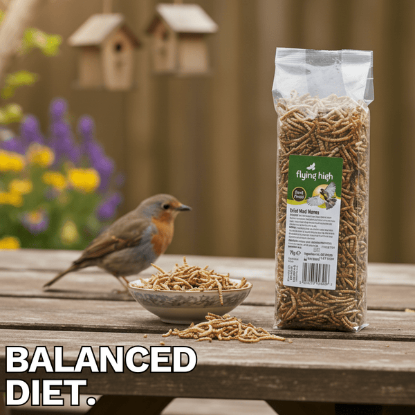 Dried Mealworms for Wild Birds 75g | High Protein Natural Insect Feed | Premium Energy-Rich Bird Food for Garden & Outdoor Birds