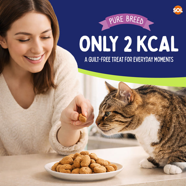 Pure Breed Mischief Cat Treats 6 Pack | Cheese Flavour Pillow Snacks for Cats | Crunchy Outer & Creamy Centre | Low Calorie Cat Bites (Only 2 kcal Each) | Natural Resealable Cat Treat Pouches for Everyday Rewards