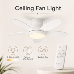 LED Ceiling Fan Light Remote Control 5 Blade Quiet Dimmable Modern Ceiling Fan for Bedroom Living Room