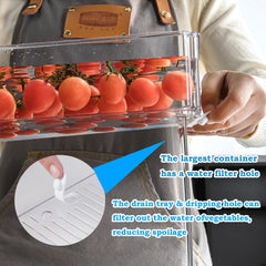 KUMD 10 Pack Fridge Organisers, Stackable Fridge Storage Containers with Lids, Bpa-Free, Clear Fruit Storage Container for Fridge Organiser, Keep Food, Fruit, Vegetables Fresh