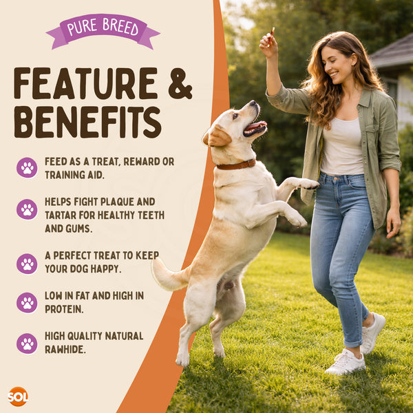 Pure Breed 10 Pack Meat Wrapped Rawhide Dog Treats | Duck Chews for Dogs | High-Protein & Low-Fat Natural Dog Chew Sticks | Long-Lasting Rawhide Twists for Small & Large Breeds | Promotes Healthy Teeth & Great for Training, Rewards, and Chewing Satisfacti