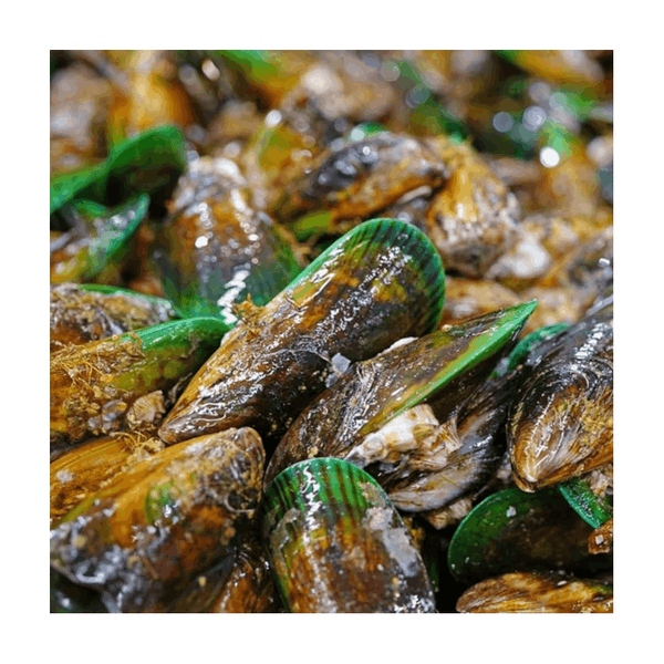 Green Lipped Mussel Powder for Dogs – 130g Natural Joint Health Supplement
