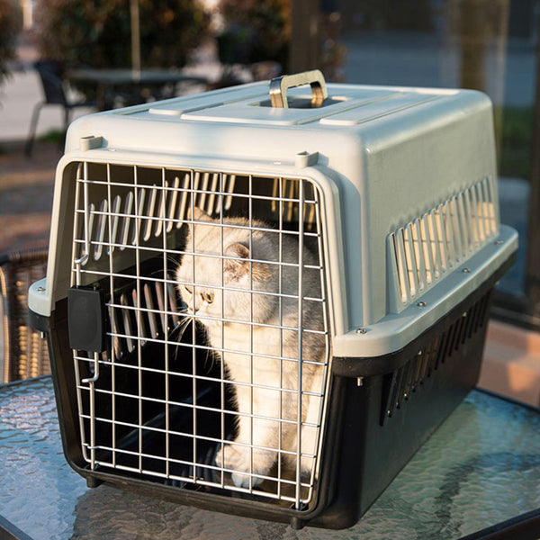Dog Cat Puppy Rabbit Pet Carrier, Plastic Dog/Cat Crate Portable Travelling Pet Kennel for Dogs, 48*32*30cm, Grey