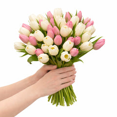 50 Stem Mother'S Day Tulip Bouquet with Greetings Card