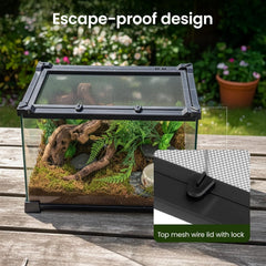 Glass Reptile Terrarium Insect Breeding Tank Vivarium Habitats for Lizards, Horned Frogs, Snakes, Spiders Reptile Glass Terrarium Tank Amphibians Box (Horizontal)