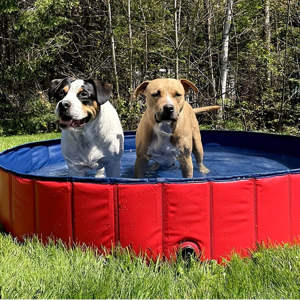 Foldable Dog Paddling Pool Pet Cat Swimming Pool Indoor/Outdoor Collapsible Summer Bathing Tub Shower Tub for Spring Outdoor Shower Play in Water
