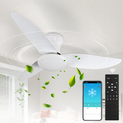 Modern Ceiling Fan Light with Remote Control - Dimmable Fixture, 6-Speed Adjustable Fan & 3-Tier Color Temperature (3000K/4500K/6500K), Timer, Suitable for, Semi-Recessed Installation, Bohemian Style Ceiling Light with Fan