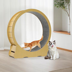 Cat Exercise Wheel, 79 Cm Cat Treadmill for Indoor Cats, Running Wheel with Carpeted Runway, Easy to Install & Fitness & Health, Suitable for Most Cats, Plastic Wheel