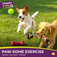 Mix It Play Pack 3pk Dog Toy Set | Includes Rope Pull Toy, Squeaky Bone & Play Ball | Durable, Lightweight Toys for Small & Medium Dogs | Great for Chewing, Tugging & Fetching