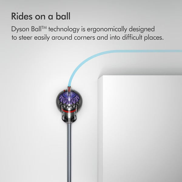 Dyson Big Ball Animal 2 Cylinder Vacuum