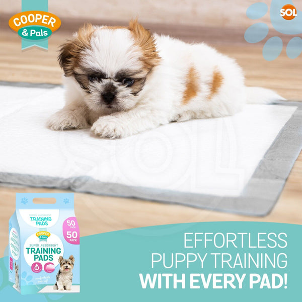 100 Puppy Training Pads for Dogs | Large 60x45cm Dog Pee Pads with Leak-Proof Backing & Odour Control | Super Absorbent Puppy Toilet Training Mats | Bulk Disposable Dog Wee Pads for Housebreaking & Travel