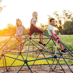 Lifetime Earthtone Dome Climber with Canopy (3-10 Years)