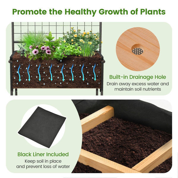 Raised Garden Bed with Trellis and 2-Tier Storage Shelves