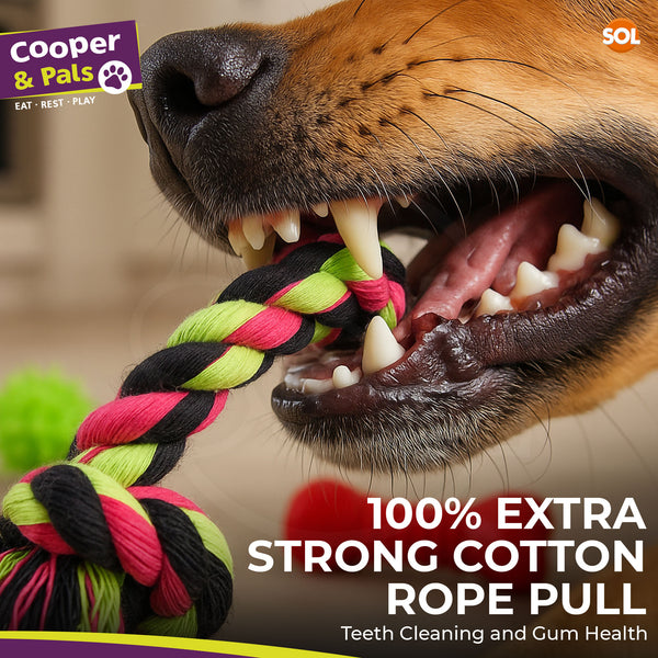 Mix It Play Pack 3pk Dog Toy Set | Includes Rope Pull Toy, Squeaky Bone & Play Ball | Durable, Lightweight Toys for Small & Medium Dogs | Great for Chewing, Tugging & Fetching