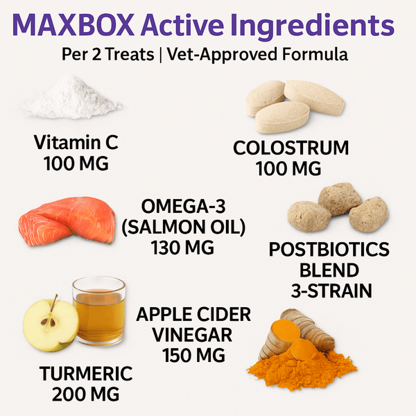 MAXBOX ALL Itch & Immunity Treats for Dogs, Itch Dog Treat, Supplement Chews for maintain from Itching & Scratching. Soothes irritated paws, skin, ears, and eyes