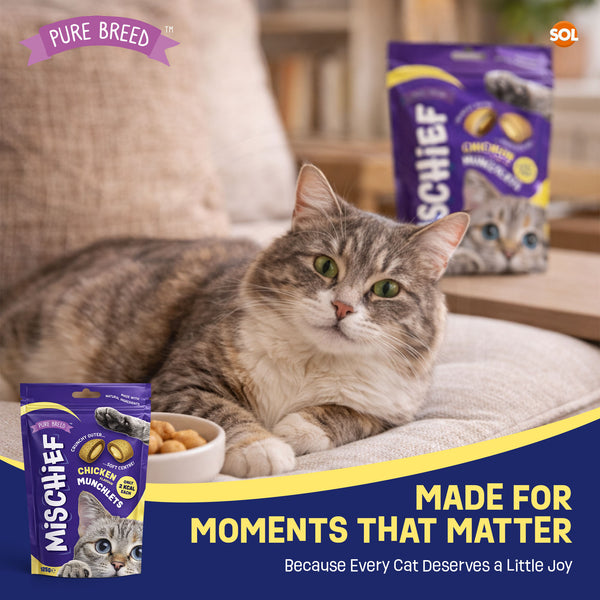 Pure Breed Mischief Cat Treats 6 Pack | Chicken Flavour Pillow Snacks for Cats | Crunchy Outside & Soft Creamy Centre | High Protein Low Calorie Cat Bites (Only 2 kcal Each) | Natural Resealable Cat Treat Pouches
