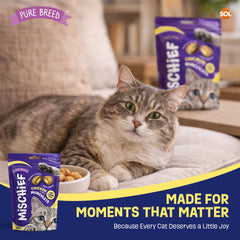 Pure Breed Mischief Cat Treats 6 Pack | Chicken Flavour Pillow Snacks for Cats | Crunchy Outside & Soft Creamy Centre | High Protein Low Calorie Cat Bites (Only 2 kcal Each) | Natural Resealable Cat Treat Pouches