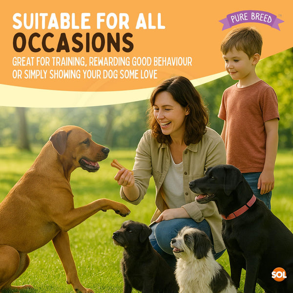 Pure Breed 4pk Pressed Dog Bones | Long Lasting Flavoured Chew Treats for Dogs, Puppies & Large Breeds | Low Fat, High Protein Dental Chews | Healthy Training & Reward Dog Treat Bones