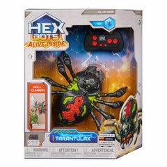 Hex-Bots Crawling Wall Spider (4+ Years)