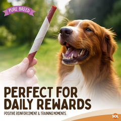 Pure Breed 4pk Long Lasting Dog Chew Twist Rolls | Low Fat Dental Dog Treat Sticks | Rawhide High Protein Dog Treats for Small & Medium Dogs | Natural Chew Snacks for Oral Health, Training & Rewards