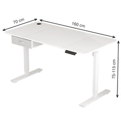 Electric Standing Desk, Sit Stand Table, Height Adjustable Electric Standing Computer Desk with USB Charging Port and Desk Drawer for Home Office