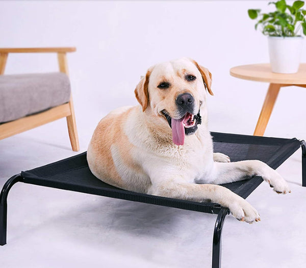 Metal Frame Elevated Dog Bed Portable Raised Pet Cot with Washable Mesh No-Slip Rubber Feet for Indoor & Outdoor Use, Small/Medium/Large to choose