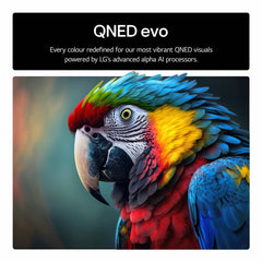 LG 85QNED92A6A 85 Inch QNED 4K Ultra HD Smart TV