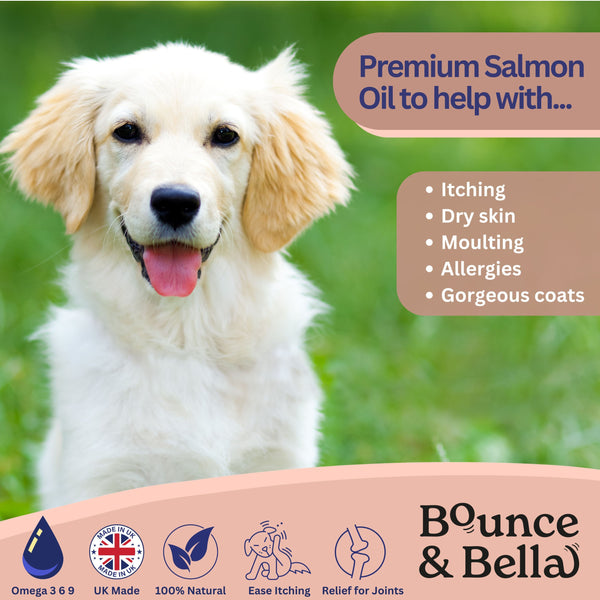 Scottish Salmon Oil for Dogs & Cats UK - Purity-Filtered Omega 3-6-9 Fish Oil Supplement, 500ml, Bounce and Bella