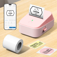 PM260B Portable Wireless Thermal Label Maker - 203DPI HD Printing, 1200mAh Long Battery, Auto-Calibration, Compatible with Mobile & Computer Systems, for Home Storage / Office Organization / Personal Item Sorting (Labels Included)