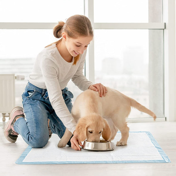 Puppy Pads Pack of 40 Pee Pads for Dogs Potty Training with Leak-Proof Quick-Dry Design Multi-Layer Puppy Training Pads Pack of 20 XL-size 90x60cm