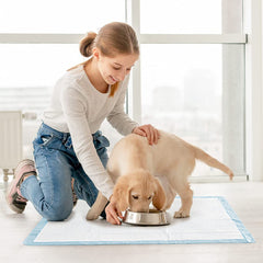 Puppy Pads Pack of 40 Pee Pads for Dogs Potty Training with Leak-Proof Quick-Dry Design Multi-Layer Puppy Training Pads Pack of 20 XL-size 90x60cm